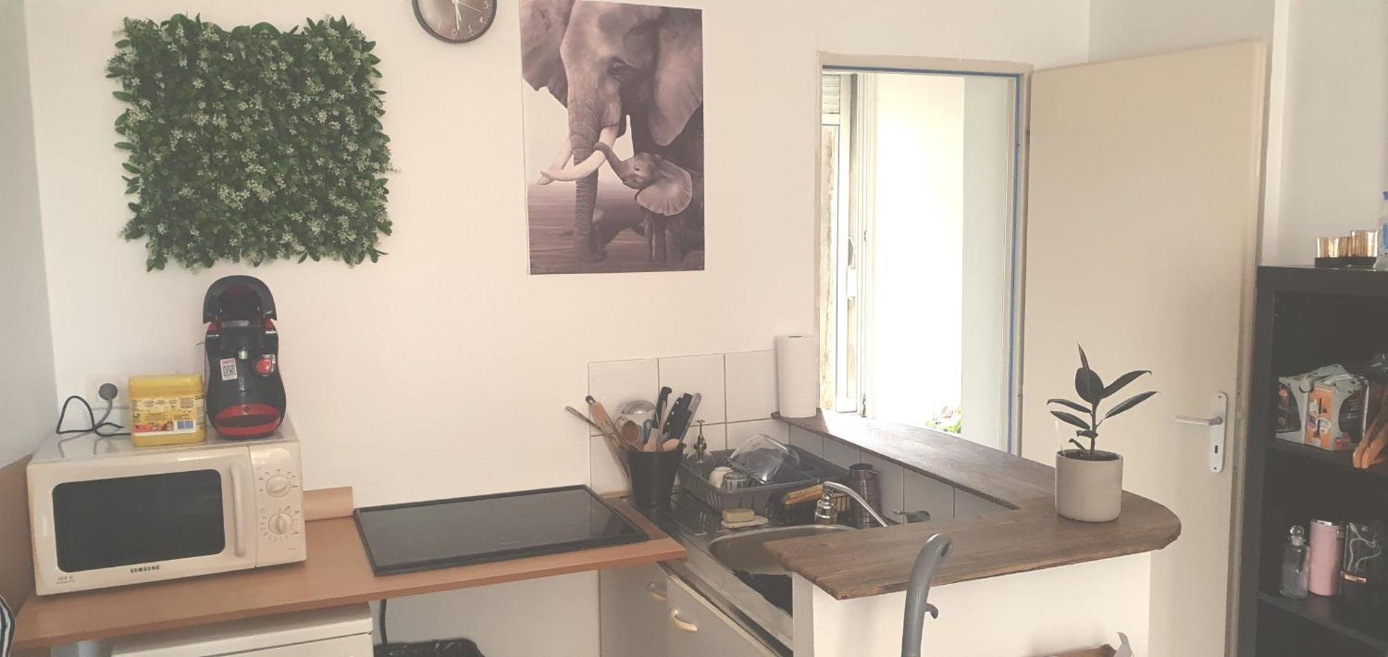 Appartement Cosy Bassens 33 *